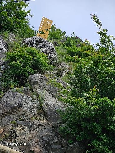 Bağ evlərinin kirayəsi: 100 kv. m, 3 otaqlı, Hovuzsuz, Su — 13