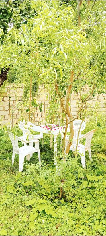 Günlük kirayə evlər: 80 kv. m, 3 otaqlı, İnternet, Telefon, Qaz — 2