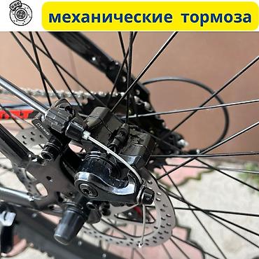 акула морда: Горный велосипед, Рама L (172 - 185 см), Сталь, Новый — 4