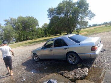 купить мерседес спринтер в европе: Mercedes-Benz W124: 1991 г., 3 л, Автоматтык, Бензин, Седан