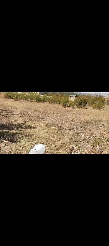 xizi: 12 sot, Kupça (Çıxarış) — 3