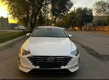 corolla runx: Ысык-Көль Такси, жеңил унаа | 4 орундук