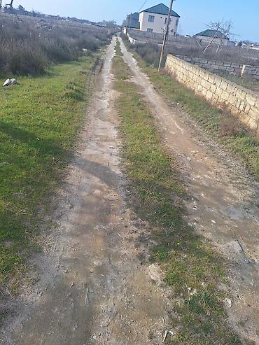 ləhic: 11 sot, Tikinti, Kupça (Çıxarış) — 3