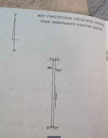 земля посевная: 40 соток — 2