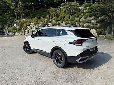 sprinter rex: Kia Sportage: 2022 г., Автомат, Кроссовер — 6