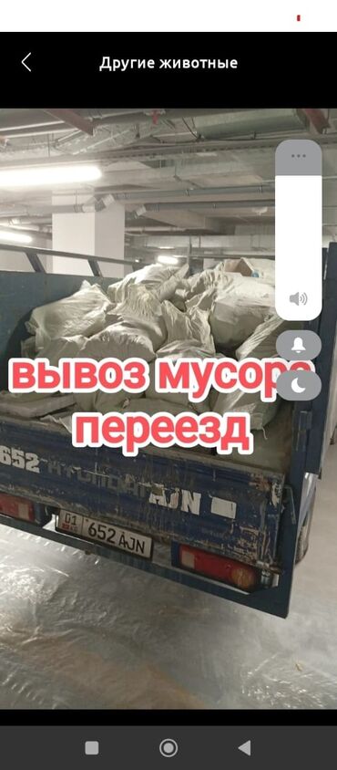домик для хомяков: Вывоз мусора вывоз мусора вывоз мусора Вывоз мусора вывоз мусора вывоз