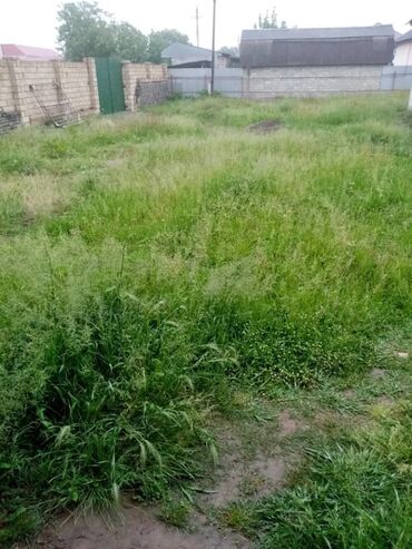 Torpaq sahələrinin satışı: 30 sot, Mülkiyyətçi, Kupça (Çıxarış) — 4