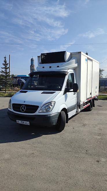 привозной: Mercedes-Benz Спринтер: 2007 г., 3 л, Механика, Дизель, Бус — 1