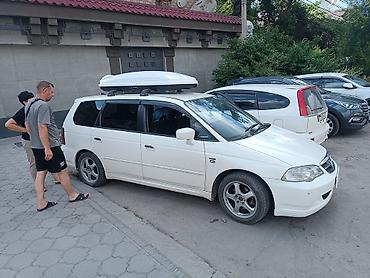 Автобоксы: Автобокс 2 см — 24