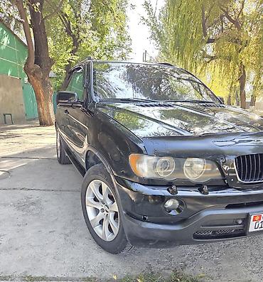 BMW: BMW X5: 2003 г., 3 л, Автомат, Дизель, Внедорожник — 9