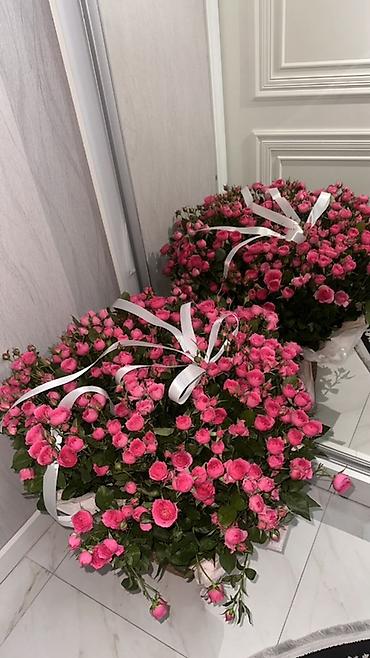 Срочно продаю букет из кустовых роз в корзине, свежие сегодняшние