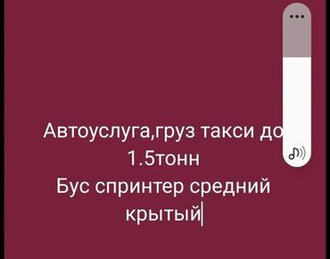 водитель на бус: , Грузовое такси до 1,5 тонн. По Пятницам суббота, воскресенье
