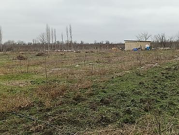Torpaq sahələrinin satışı: 34 sot, Tikinti, Maklerlər narahat etməsin, Kupça (Çıxarış) — 9