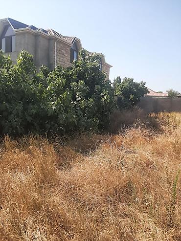 maştaga: 4 sot, Tikinti, Kupça (Çıxarış) — 9