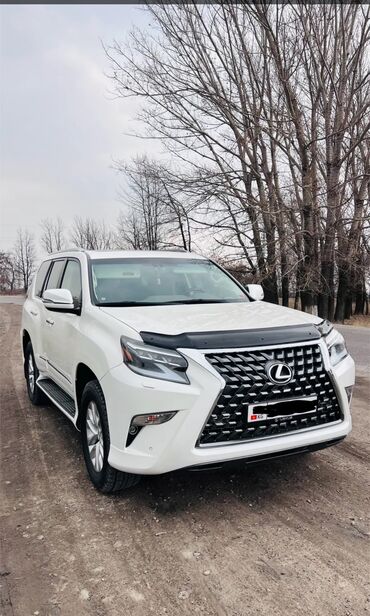 highlander 2018: Lexus GX: 2018 г., 4.6 л, Автомат, Бензин, Внедорожник
