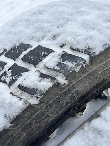 Тягачи: Тягач, DAF, 2008 г., Без прицепа — 11