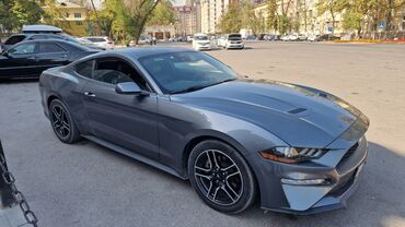 очки для вождения: Ford Mustang: 2022 г., 2.3 л, Автомат, Бензин, Купе