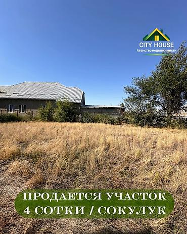 alinur classic: 4 соток, Для строительства, Красная книга, Договор купли-продажи — 1