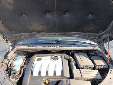 Volkswagen: Volkswagen Golf Plus: 1.9 l | 2008 г. MPV Body Type — 16