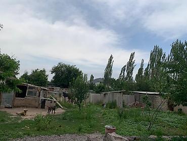 Продажа коттеджей и домов: Продаётся дом с просторной планировкой. - Большая кухня-столовая с — 11