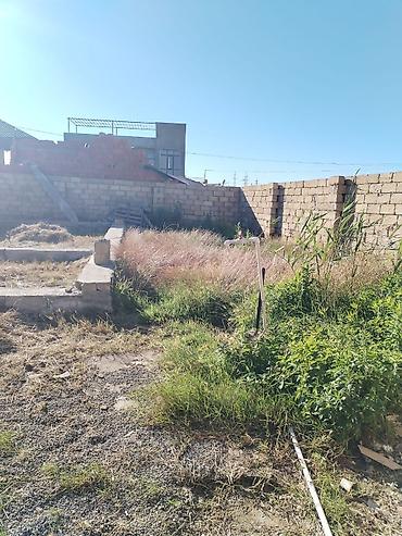 Torpaq sahələrinin satışı: Tikinti -da lalafo.az — 8 Torpaq sahələrinin satışı: Tikinti — 8