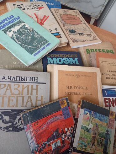 Русский язык и литература: Русская литература, 5 класс, Б/у, Самовывоз