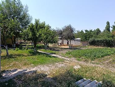 Продажа коттеджей и домов: Продается большой дом. 7 комната. дом находится в с.Беловодское — 3