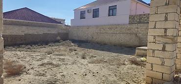 rebers park: 3 sot, Tikinti, Mülkiyyətçi, Kupça (Çıxarış) — 6