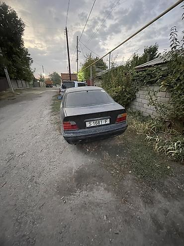 BMW: BMW 3 series: 1991 г., 1.6 л, Механика, Бензин, Седан — 3