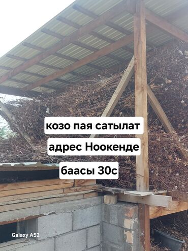 дрова в канте: Дрова Самовывоз