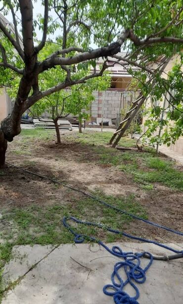 Продажа участков: 4 соток at lalafo.kg — 5 Продажа участков: 4 соток — 5