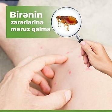 kükürd ilan: Görülən Bütün xidmətlərə zəmanət…!!!! Tarakan Qarişqa Bit-Birə Milçək — 3