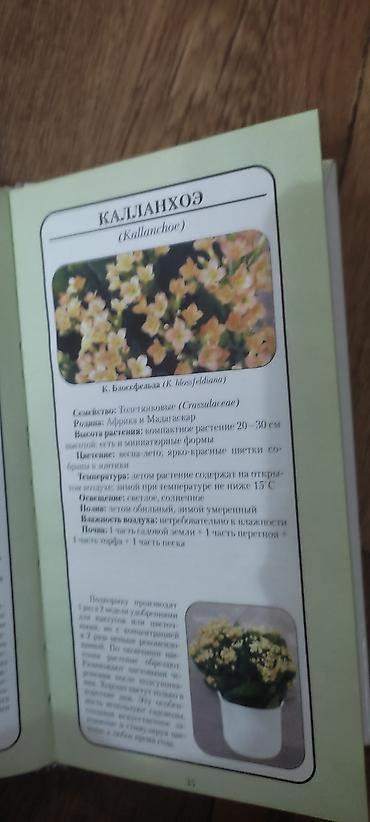 приму в дар комнатные цветы: Книга мини-атлас "Красивоцветущие комнатные растения" — 2