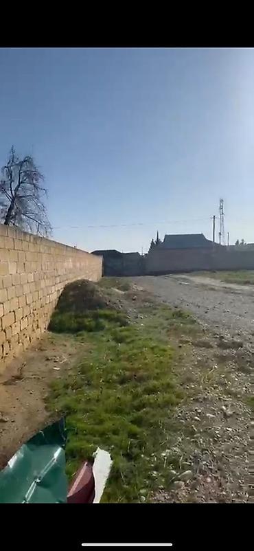 kirayə ev zabrat 1: 12 sot, Kənd təsərrüfatı, Kupça (Çıxarış) — 2