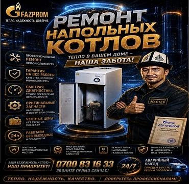 Профессиональный ремонт напольных газовых котлов Что делаем: -