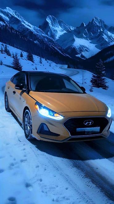 Другие автоуслуги: Реклама без ии. Тонировка авто.(люмар, америка,корея) Оклейка кузова — 12