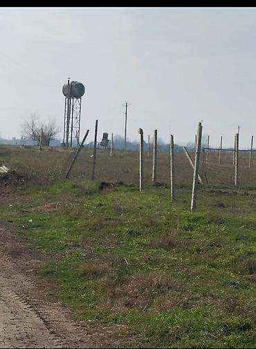 yeni emlak kiraye: 8 sot, Mülkiyyətçi, Texniki pasport — 5