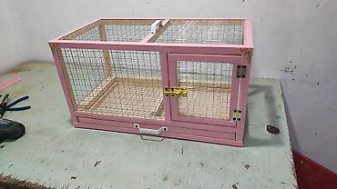 heyvan bazarları: Dovşan,hamster,şinşila,bildirçin,cücə,xamyak,pişik,quş,tısbağa ve s — 1