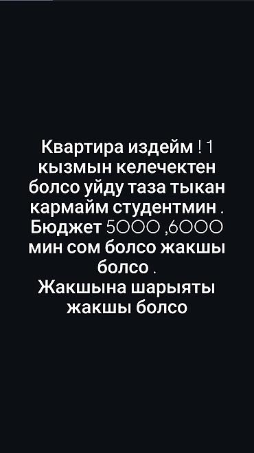 ысык куле: Ищу квартиру. Нужна чистая и опрятная однокомнатная или небольшая — 1