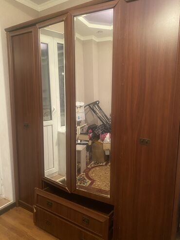 котенок бесплатно: Отдам даром