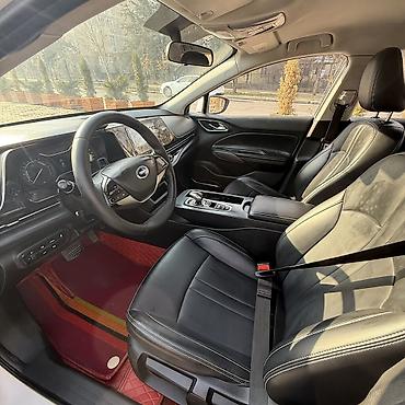 aion a60: BYD : 2019 г., 1 л, Автомат, Электромобиль, Седан — 8