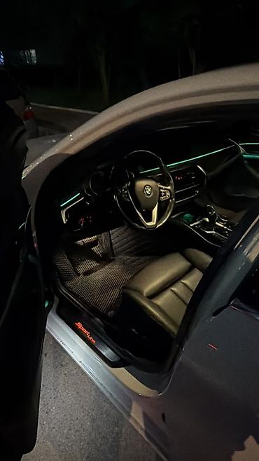 машина aion: BMW 5 series: 2019 г., 2 л, Автомат, Бензин, Седан — 3