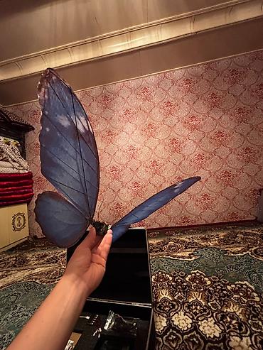 ми 9 с: 🦋 Летающая бабочка для свадеб и мероприятий Эффектная радиоуправляемая — 1