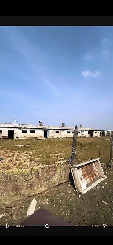хранение: Продаётся сельскохозяйственный объект, кошара под фермерское — 3