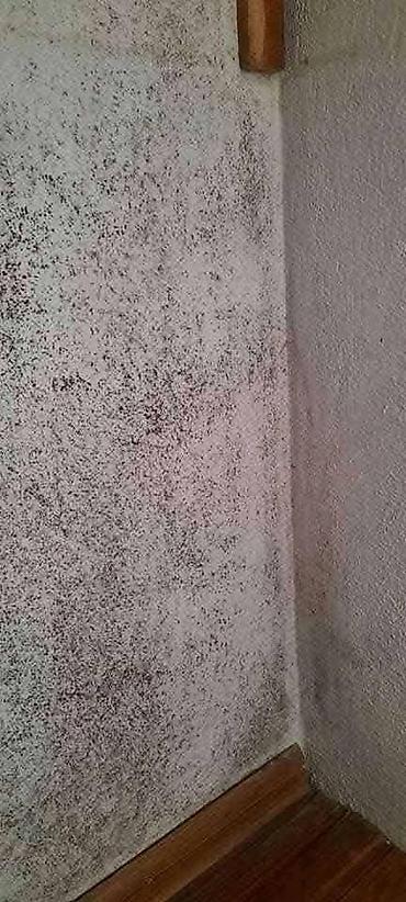 Kućna hemija i proizvodi za kuću: 🌿 PDP koncentrat – efikasno protiv buđi! 🌿 Za zdrav i čist dom bez — 10