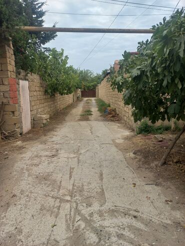 balaxanıda torpaq satışı: Mülkiyyətçi, Kupça (Çıxarış)