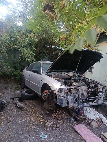 hond: Honda Accord: 1994 г., 2 л, Механика, Бензин, Хэтчбэк — 2