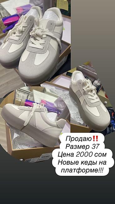 кросовка: Кеды на платформе‼️ Размер 37, Новые Цена 1800 сом Забрать можно — 1