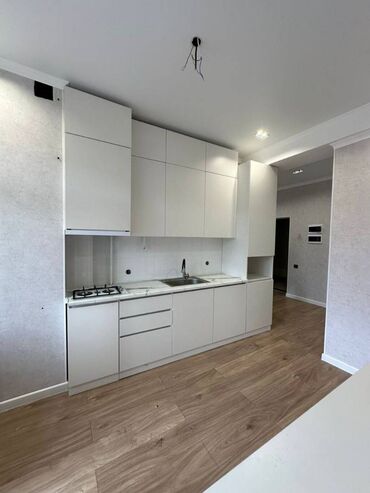 квартира 106серия: 2 комнаты, 68 м², Элитка, 13 этаж, Евроремонт