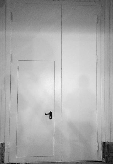 Двери для домов и квартир: Двери для домов и квартир, Металлическая, Другое количество створок, Кыргызстанская, Левосторонняя — 28